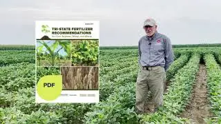 Potassium on Soybeans