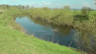 Fishing the river Swale, Pickhill.