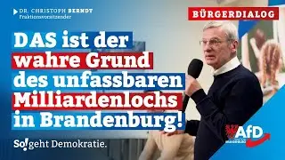 Bankrott der Landesregierung: Sie nehmen Milliarden ein &ndash; und haben trotzdem kein Geld mehr! 🕳️💶