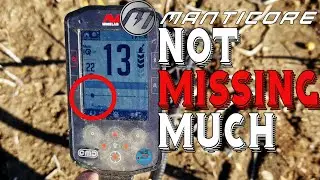 Minelab Manticore. metal detecting TINY hammered coins and Roman
