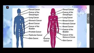 Fight Against Cancer with Dhanwantari products By Dr Rashmi Tambe 