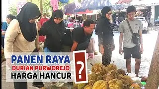 GELIAT PERDAGANGAN DURIAN DI PURWOREJO