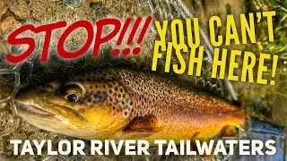 They Said I Wouldn&rsquo;t Catch One&hellip; Then THIS Happened | Taylor River @ReelFaith-jaymemontera 