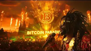 Bitcoin Paradise 🌴🔥 |  Freedom Money Reggae - Live! 🚀