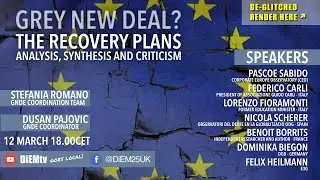 Grey New Deal? | The Recovery Plans