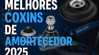 🎯 As melhores MARCAS de COXIM do mercado! 👨‍🏫