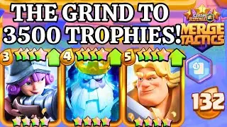MERGE TACTICS GRIND TO 3500 Trophies! - Clash Royale Merge Tactics