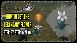 How to Get the Legendary Flower in NieR Replicant Legendary Gardener Trophy / Achievement Guide