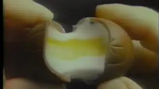 80's Commercials Vol. 419