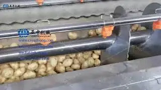 Screw hair roller peeling machine for sale