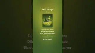 Sessiz Yörünge
