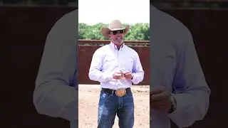 When to Use Spurs When Riding Your Horse