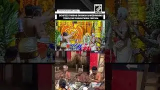 TN: Devotees throng Sankara Rameshwarar Temple on occasion of Thiruvathirai Festival in Thoothukudi