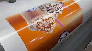 RICOH  GEN 6   DUAL HEAD    2 P FLEX PRINTING FOR  MORE INFORMATION CALL :91-8866666652