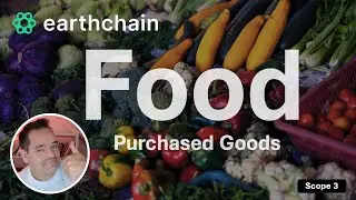 Earthchain Insights: Food