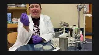 Spread Plate Technique