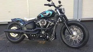 2018 softail street bob  [fxbb] custom Easyriders　ストリートボブ