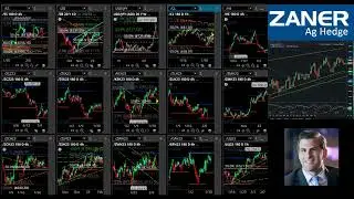 SOTW - Weekly Market Update 2/9/2023