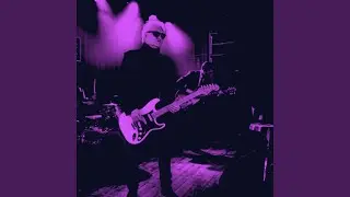 Purple Hate