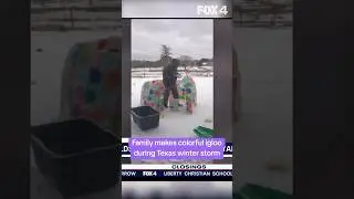 Texas family makes colorful igloo during winter storm