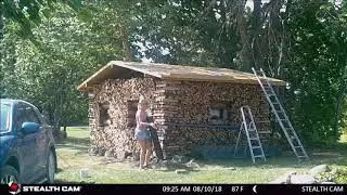 puumaja katus