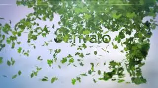 Flying Leaves Logo Reveal &ndash; Premiere Pro | Logo Stings - Envato elements