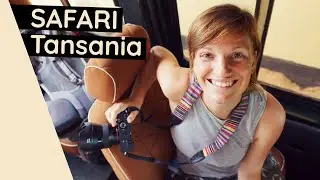 Safari in Tansania ● Tarangire Nationalpark ● Weltreise Vlog #114