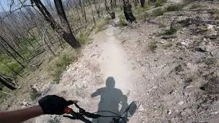 Alden Gulch | Sun Valley, ID | 08.22.2020