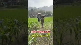GX35 Backpack Corn Tiller