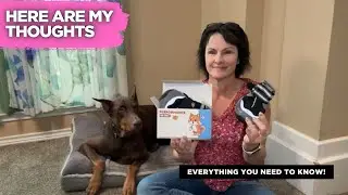 QUMY Dog Boots Review | Hot Pavement Protection for Large & Medium Dogs