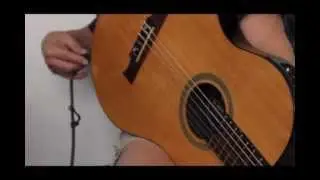 Line 6 Variax 300 Classical Nylon String with tricky audio output.