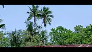 30 בדצמבר 2025.   PASI ISLAND ; DISTRIC AIMANDO  PADAIDO BIAK PAPUA