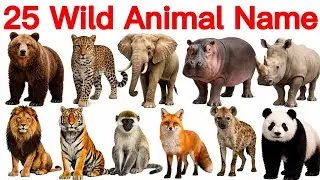 25 WILD ANIMALS NAMES 🦁 | Wild Animals Names in English & Hindi |  Kids | Kids Video