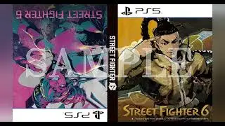 SF6 - Alternative Japanese Box Art!!