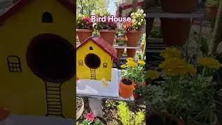 Bird House Magic in My Garden🐦#wintergardening #winterflowers #birdhouses #diyhomedecor #sahibasong
