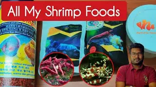 All My Shrimp Foods - Tamil | Jey's Fish Tanks | #Shrimps
