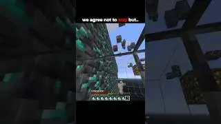 We Agree Not To Xray But. #minecraft