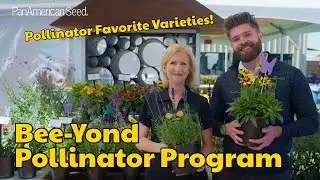 The Bee Yond Pollinator Program from PanAmerican Seed
