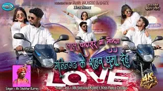 Lal Palsar Ma Tola//लाल पलसर मा तोला//Mr.Shekhar Kurrey//Bayer Song//4K VIDEO SONG//Msr Music Banji