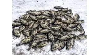 Ice Fishing Iron River Michigan Crappies| CHARGED UP FISH!