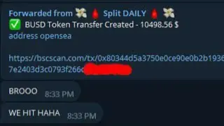 Crypto Drainer domain (Unique Drainer)