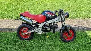 Honda Monkey R