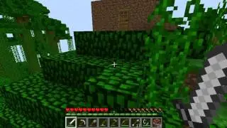 Minecraft Znaka и mad_mine взривяват общата къща