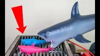 Shredding a Giant Shark! Sharks and Fishes Destroyed!