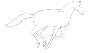 Animated horse gallop in 2D.