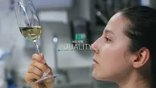 The Iidea Company - We are Growers