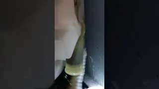 Panasonic washing machine leaking