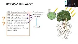 Dr. Christopher Vincent, Horticultural Sciences, University of Florida