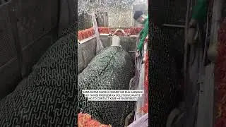 Hazrat Saiyed Ali mira datar dargah Sharif most popular video