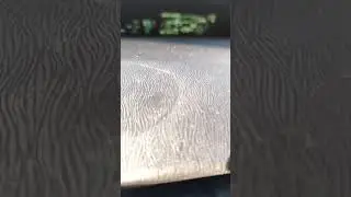 unidentified noise Prius 2011
